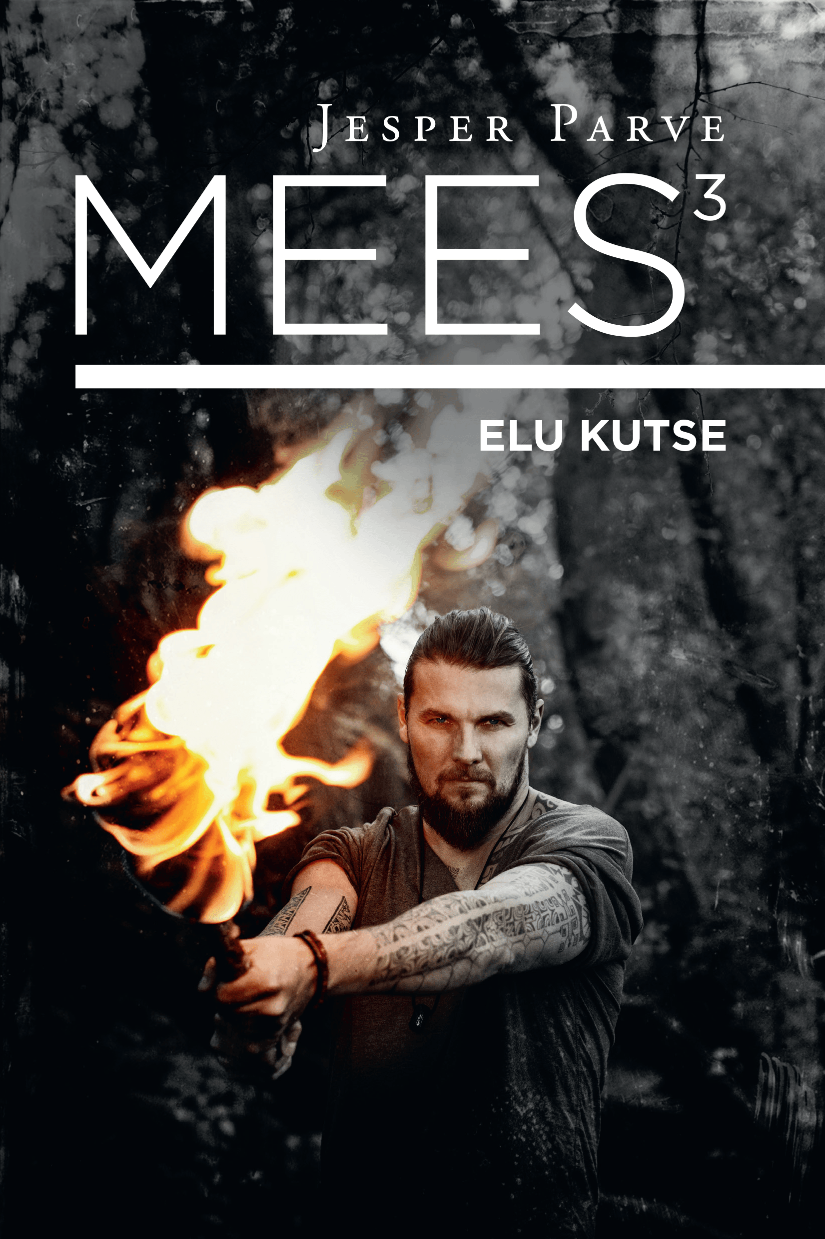 MEES 3. ELU KUTSE
