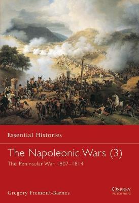 Napoleonic Wars (3)