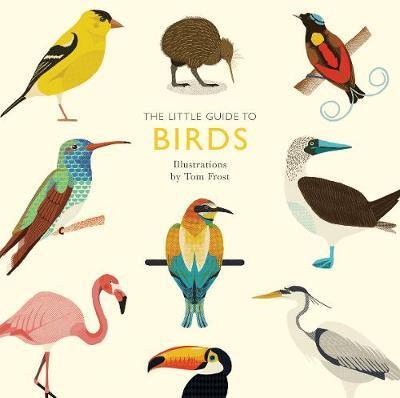 LITTLE GUIDE TO BIRDS