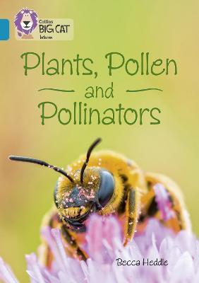 Plants, Pollen and Pollinators