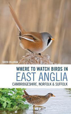 WHERE TO WATCH BIRDS IN EAST ANGLIA