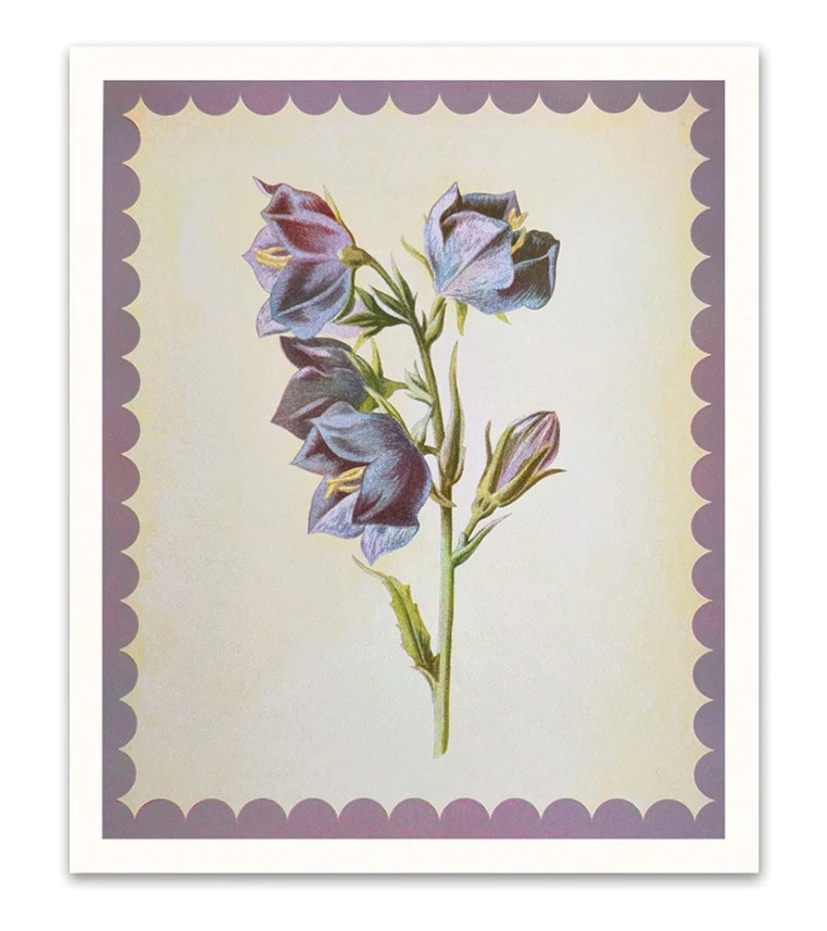 Seinapilt Giant Bell Flower, 30x25cm