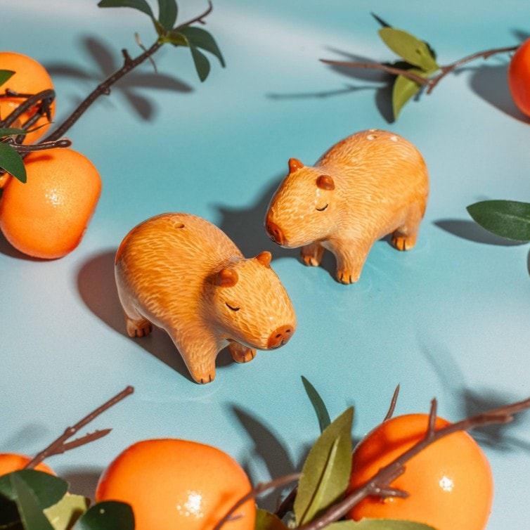 Pipra- ja Soolatoos Capybara