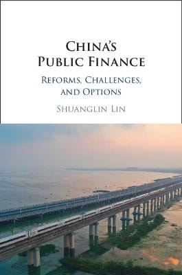 China's Public Finance