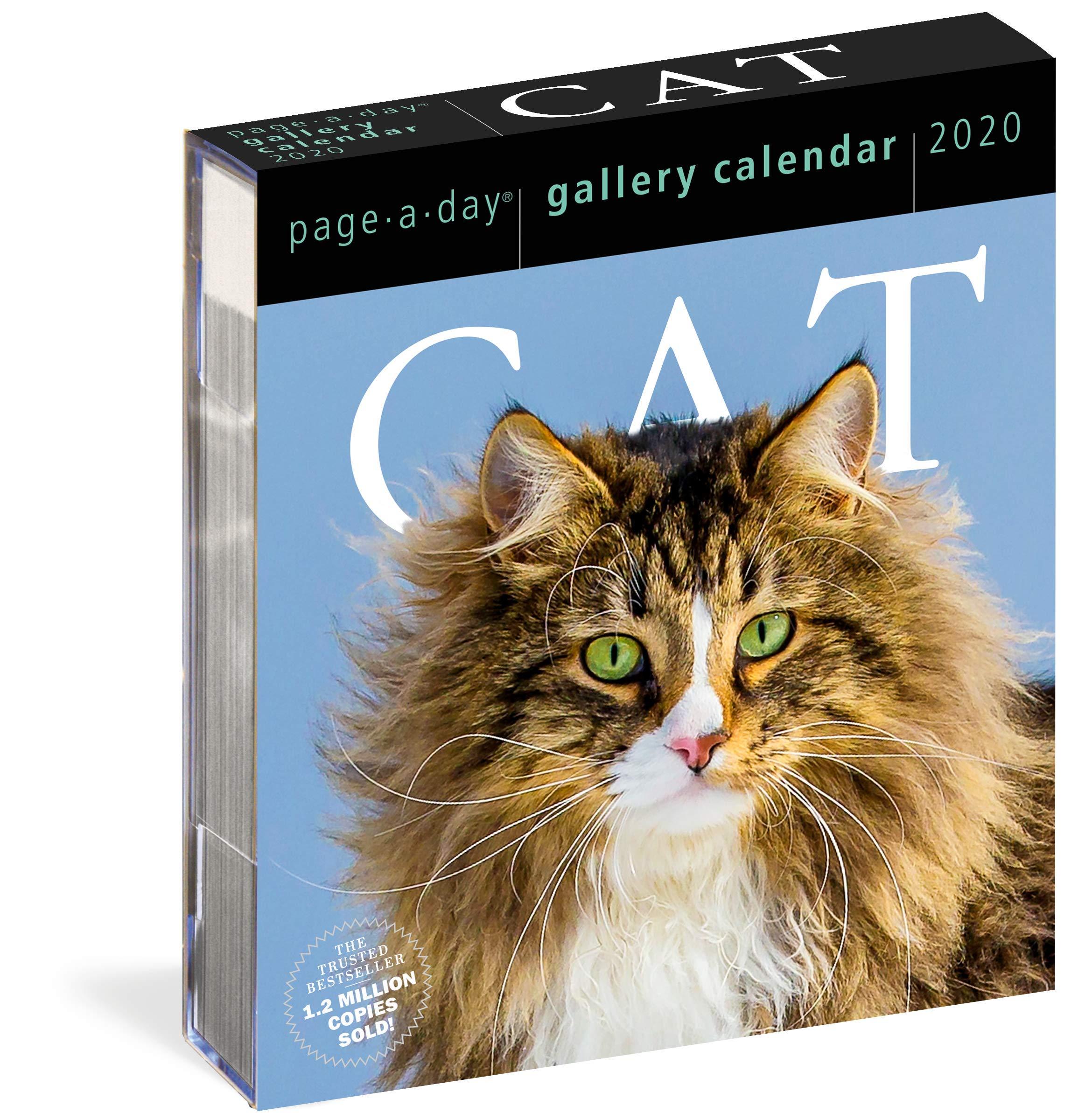 2020 Lauakalender Page-A-Day Gallery: Cat
