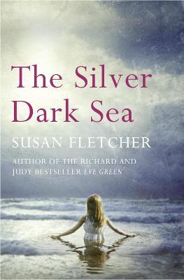 Silver Dark Sea