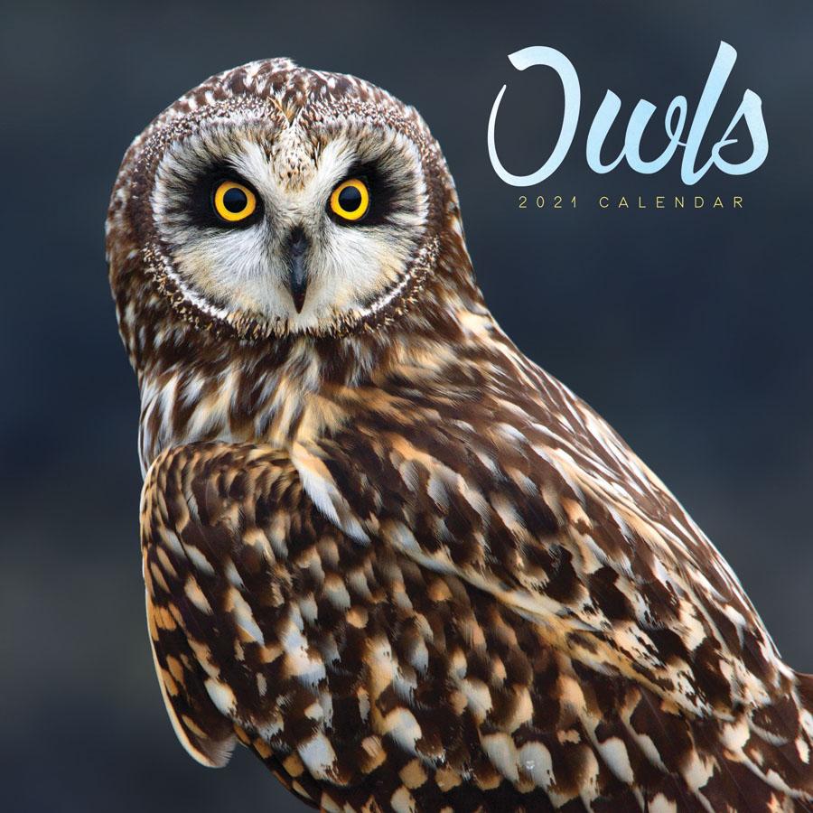 2021 Seinakalender Owls