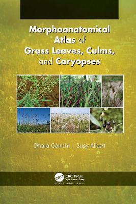 MORPHOANATOMICAL ATLAS OF GRASS LEAVES, CULMS, AND CARYOPSES