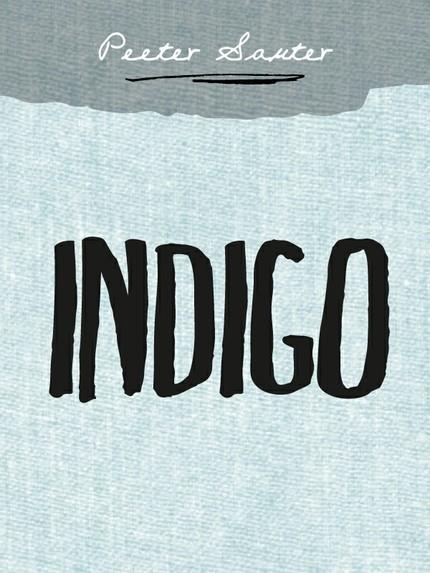 E-raamat: Indigo
