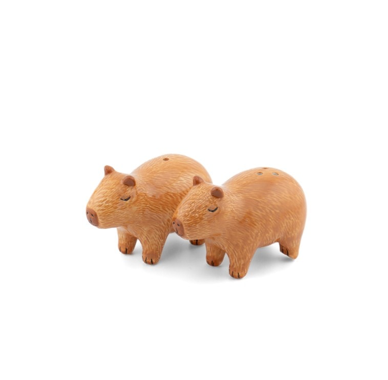 Pipra- ja Soolatoos Capybara