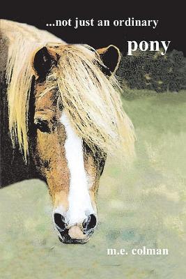 ...not just an ordinary pony
