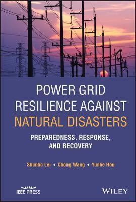 POWER GRID RESILIENCE AGAINST NATURAL DISASTERS - PREPAREDNESS, RESPONSE, AND RECOVERY