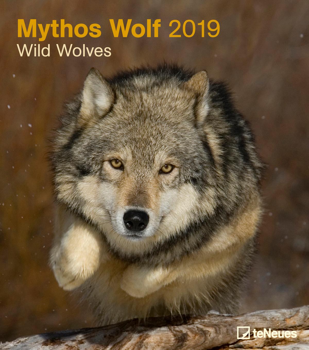 2019 Seinakalender Wild Wolves