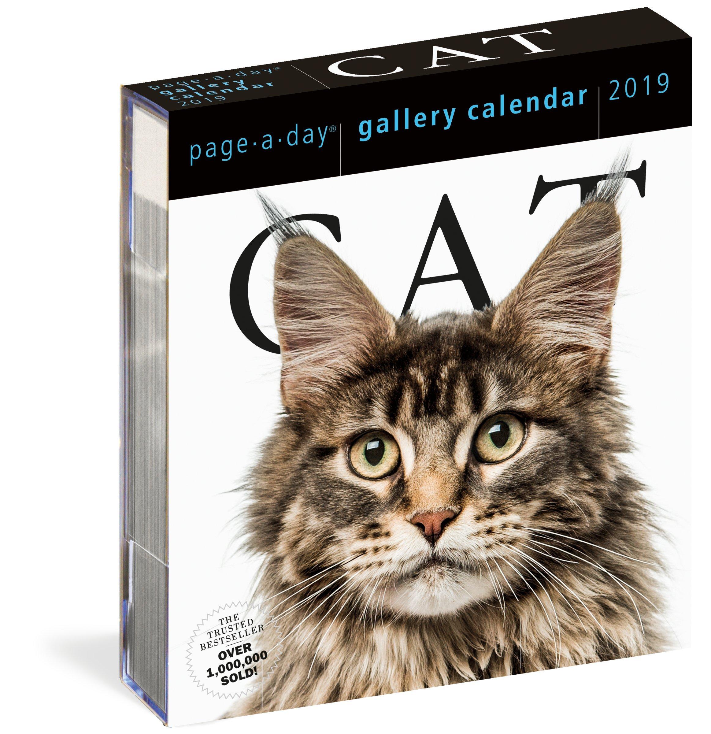 2019 Page-A-Day Gallery: Cat