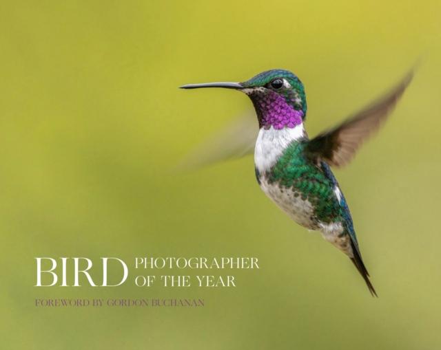 Bird Photographer of the Year: Collection 8