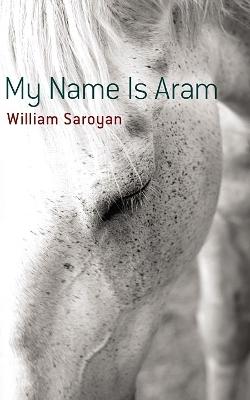 My Name is ARAM