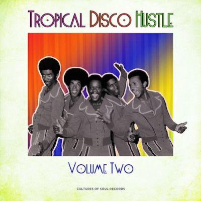 V/A - Tropical Disco Hustle Vol 2 (2015) 2LP