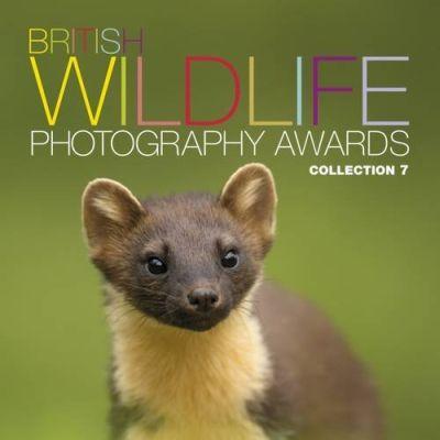 British Wildlife Photography Awards 08