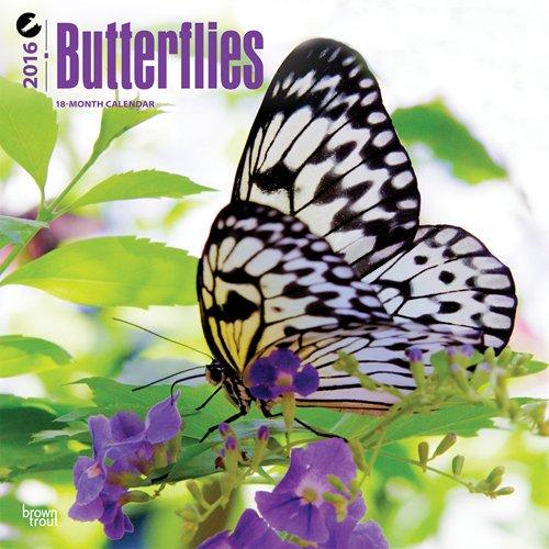 2016 Wall Calendar Butterflies