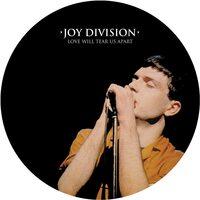 Joy Division - Love Will Tear Us Apart (1980) (PicTURE DISC) LP