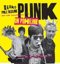 Disko Pole Oluline Punk on Põhiline (2020) LP