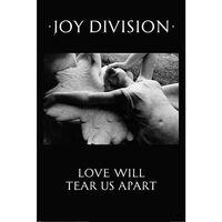 Poster Joy Division, Love Will Tear Us Apart