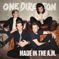 ONE DIRECTION - MADE IN THE A.M. (2015) CD