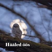 HÄÄLED ÖÖS (2018) CD