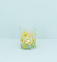 Küünlaalus Daffodil, small