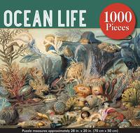 PUSLE OCEAN LIFE, 1000TK