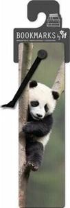 Järjehoidja NG, Giant Panda, 3D