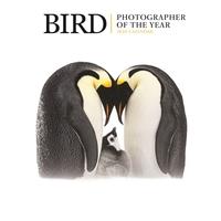 2024 seinakalender Bird Photographer Of The Year, 