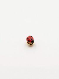 Nach rinnanõel lepatriinu, Ladybug, kullatud